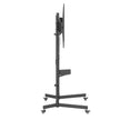 SOPORTE DE SUELO TV 55