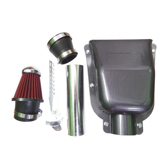 CAMPANA PARA PEUGEOT 206 2.0L 16V