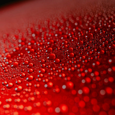 BAD BOYS ULTRA CERAMIC COATING UCC